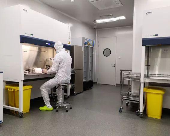 山東干細胞實驗室凈化工程